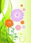 Colourful Floral Card Background